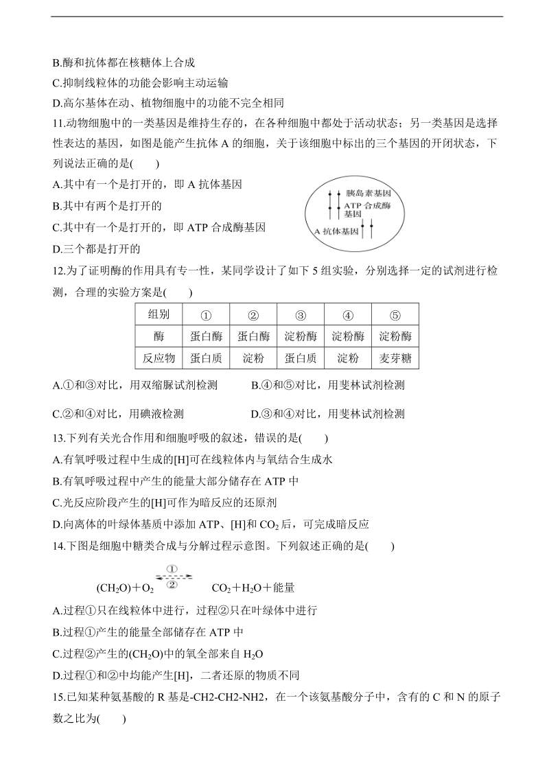 2018年陕西省榆林市第二中学高三上学期第三次模拟考试 生物.doc_第3页