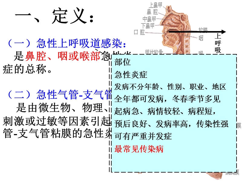 10级专护-上感.ppt_第3页