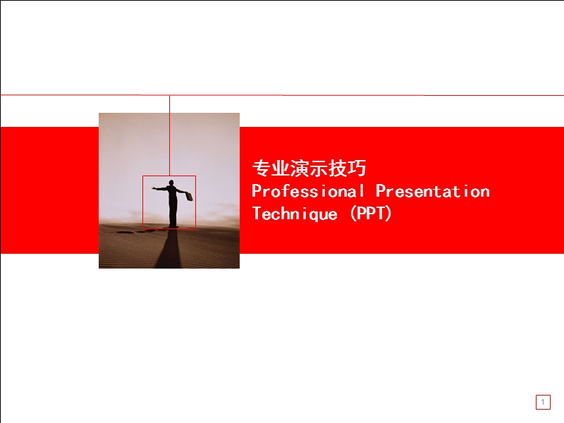 ppt专业演示技巧.pps_第1页