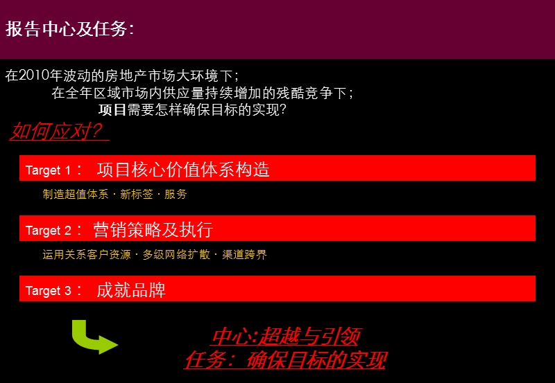 2010年新余市威尼斯营销策略报告.ppt_第2页