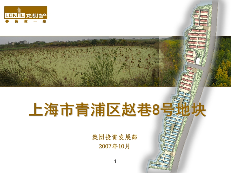 2007年上海市青浦区赵巷8号地块投资分析报告.ppt_第1页