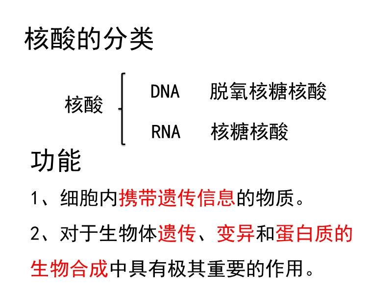 23核酸 终2015.ppt_第2页