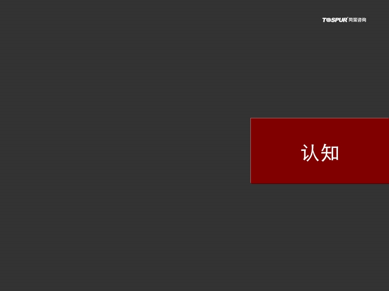 2009年同策祥腾财富广场商业项目营销策划报告.ppt_第3页