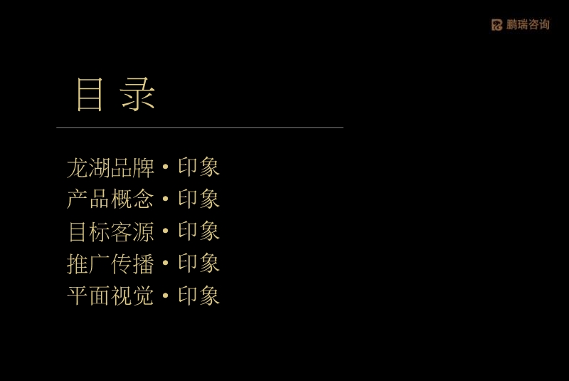 2010年度常州龙湖东经120项目营销策略提案.ppt_第2页