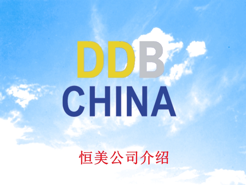 ddb公司介绍.ppt_第1页