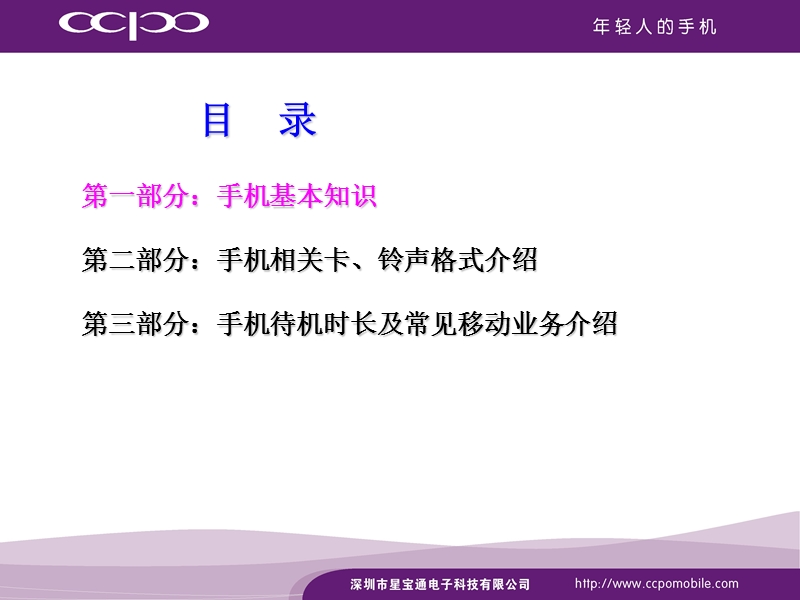 2010手机行业相关知识.ppt_第2页