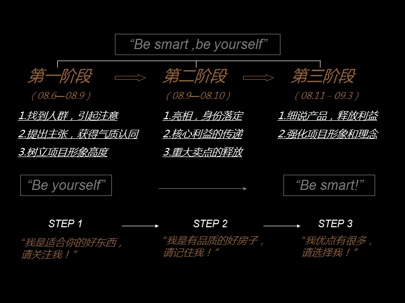 2009年金地上塘道项目媒体执行传播方案.ppt_第3页