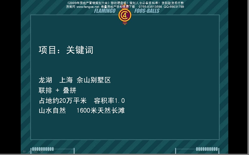 2008上海佘山别墅项目推广策略-52ppt.ppt_第3页