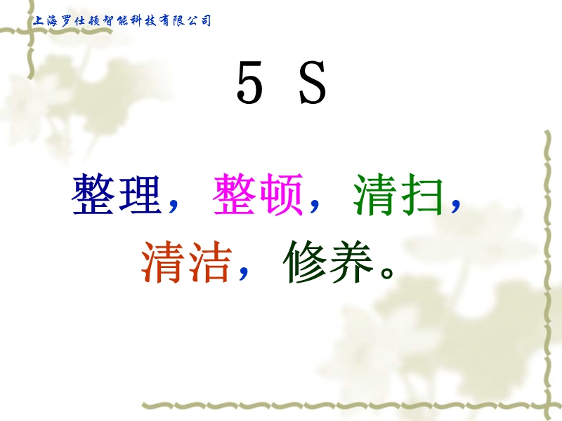 5s培训讲义.ppt_第2页