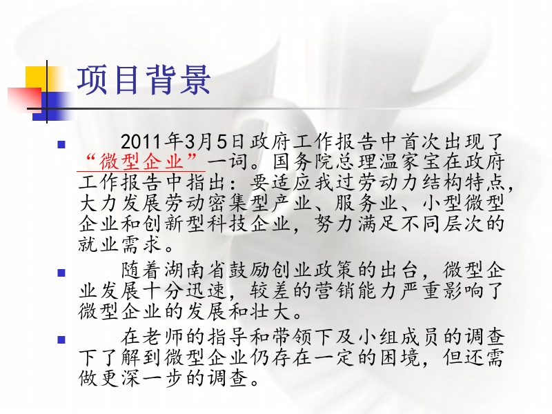 2012长沙微型企业营销现状与困境以及营销对策的研究报告.ppt_第3页