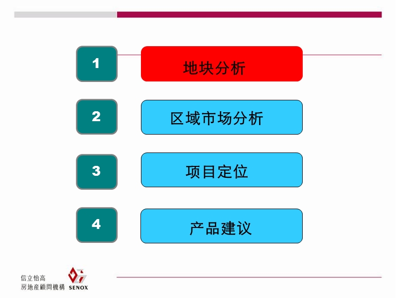 2010年济南第二制药厂改建项目产品建议报告.ppt_第2页