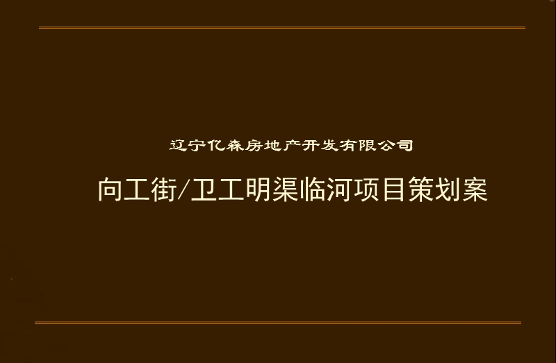 2009年沈阳向工街卫工明渠临河项目策划案.ppt_第1页