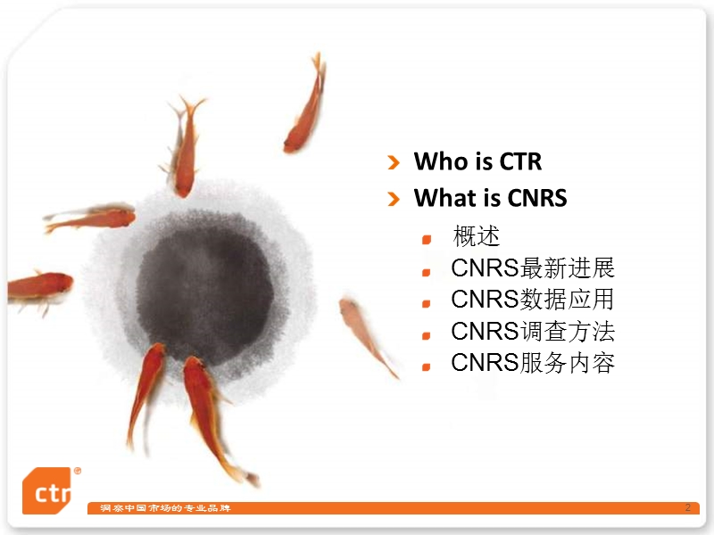 cnrs中国城市居民调查介绍_2010版_2010.8.30-ppt.ppt_第2页