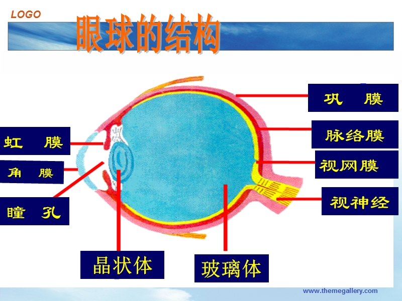 屈光不正.ppt_第3页