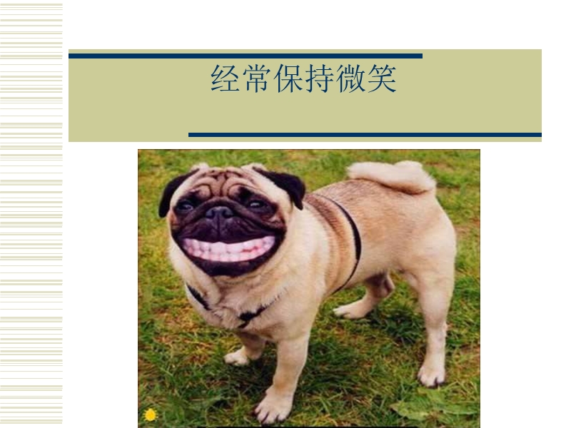 快乐的技巧.ppt_第3页