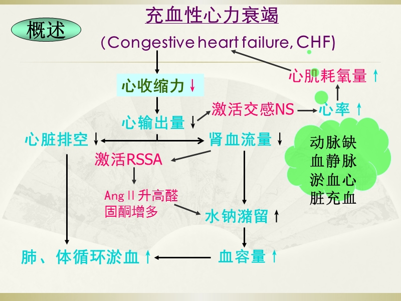 抗慢性心功不全药(老师的).ppt_第3页