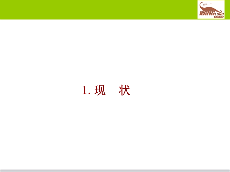 2011-2013年康龙公司品牌发展战略规划 .ppt_第3页