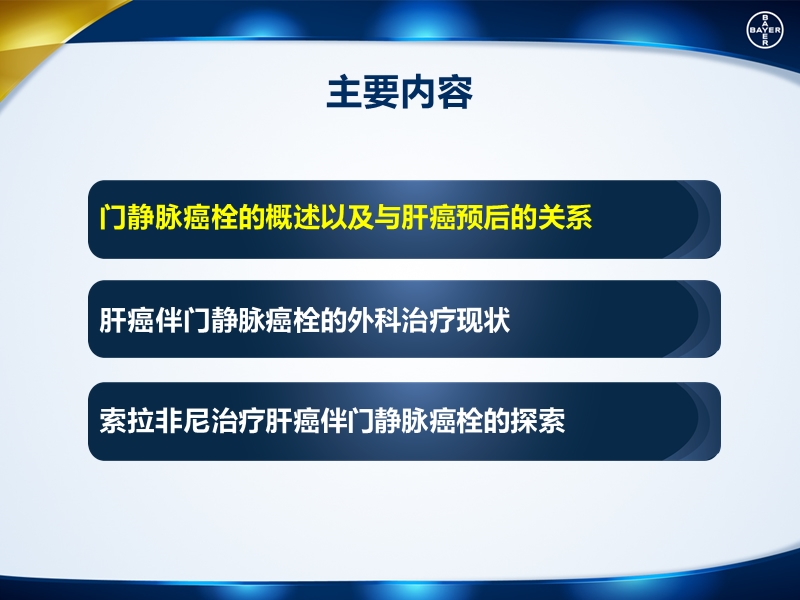 多吉美幻灯片2.pptx_第2页