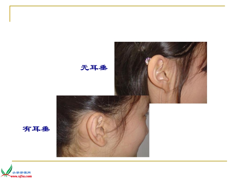 【苏教版】六年级 科学下册 第二单元 第二节 生物的变异现象课件.ppt_第2页