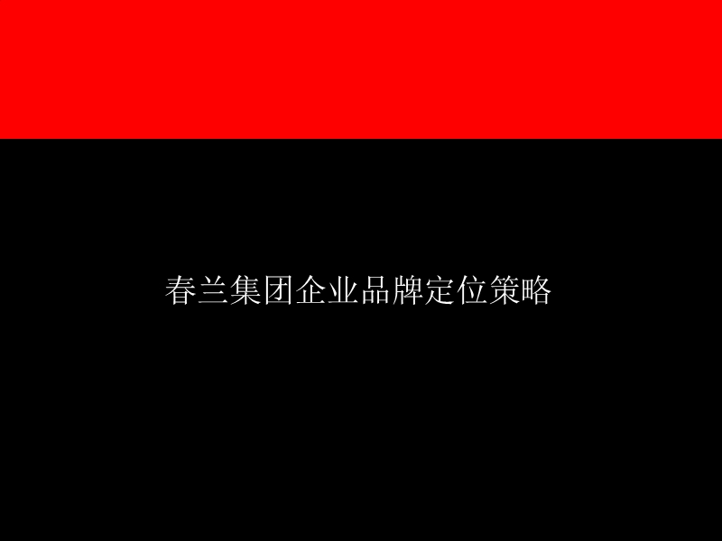 某集团企业品牌定位策略.ppt_第2页