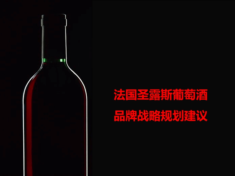 某进口葡萄酒品牌战略规划.ppt_第2页