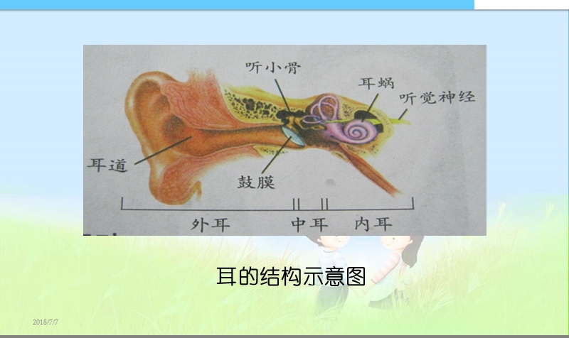 小学课件四年级科学上册《保护我们的听力》ppt精品课件.ppt_第1页