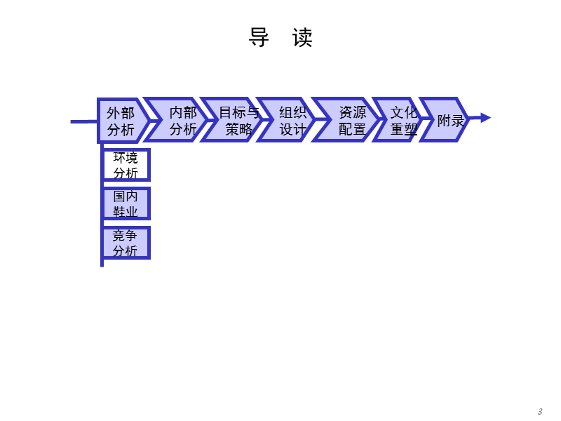 某鞋业公司发展策略咨询报告.ppt_第3页