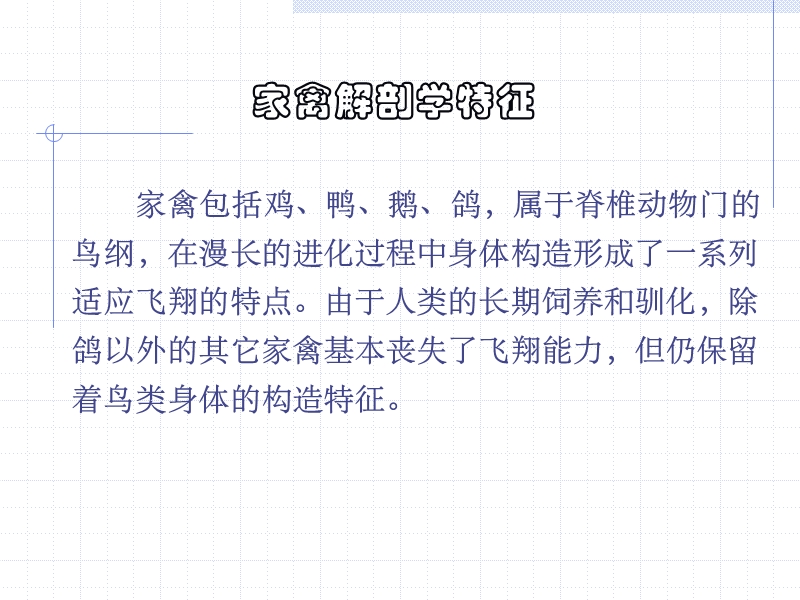 家禽解剖.ppt_第1页