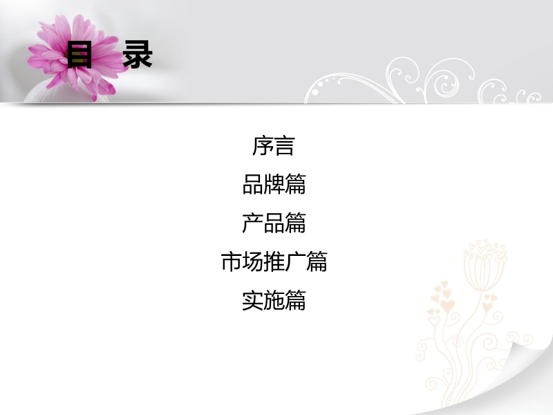 2012年某女装品牌策划方案.ppt_第2页