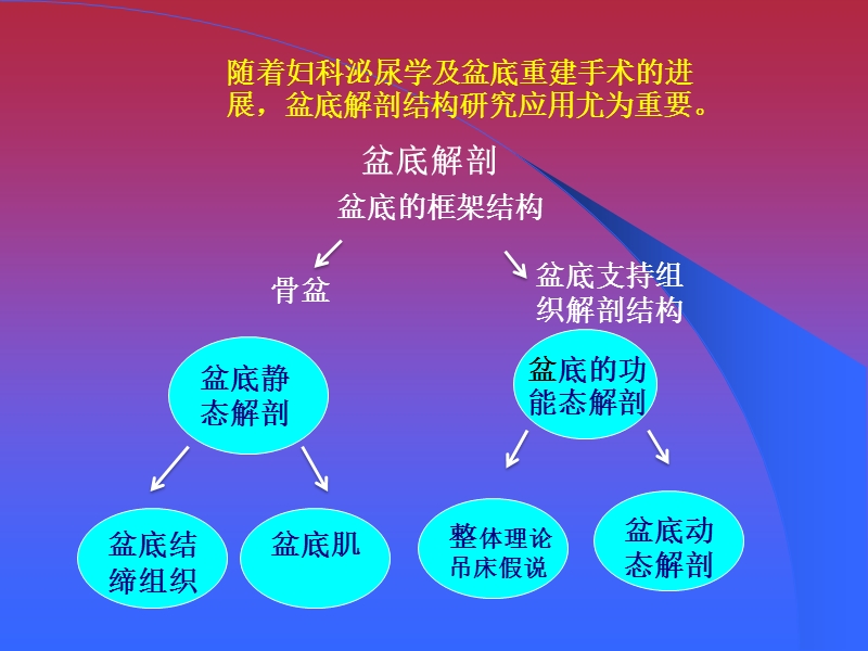 孙进-盆底重建的应用解剖.ppt_第2页