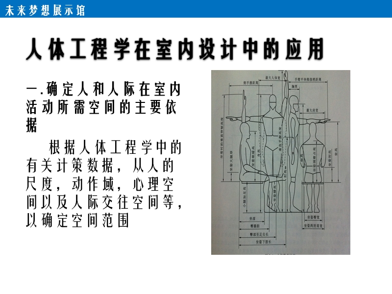 展示空间及人体工程学.pptx_第3页