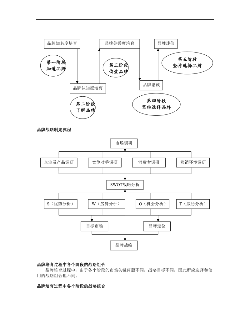 企业品牌发展战略分析报告.doc_第3页