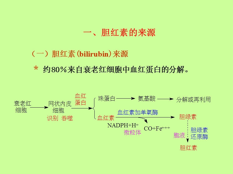 胆红素代谢紊乱.ppt_第3页