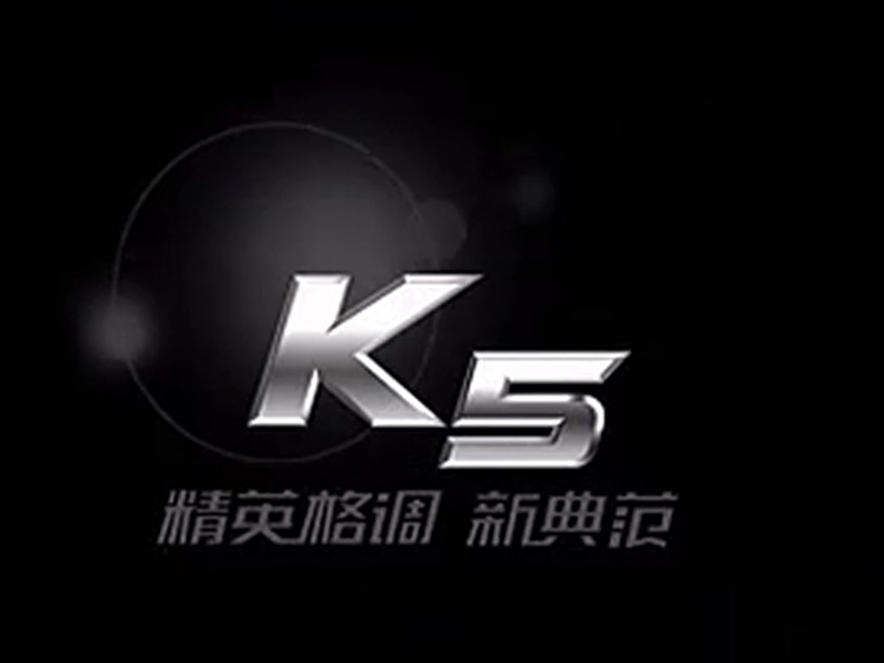 东风悦达起亚k营销比赛演讲.ppt_第3页