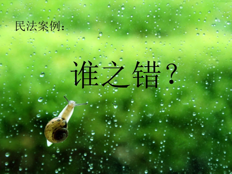 民法案例.ppt_第1页