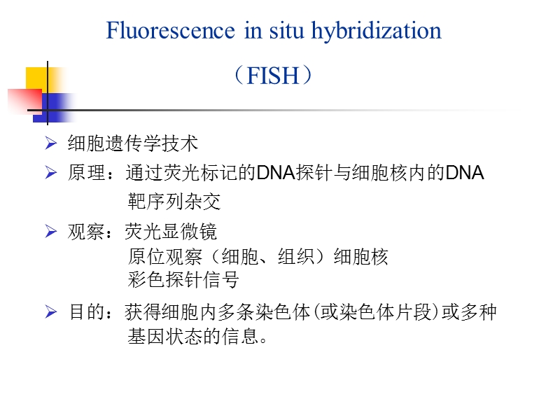 【精品ppt】fish技术在肿瘤病理诊断及肿瘤分子靶点治疗中的应用 - 中山大学肿瘤.ppt_第2页