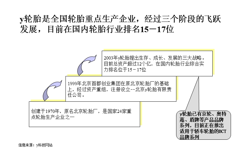 某轮胎公司品牌策略规划报告.ppt_第3页