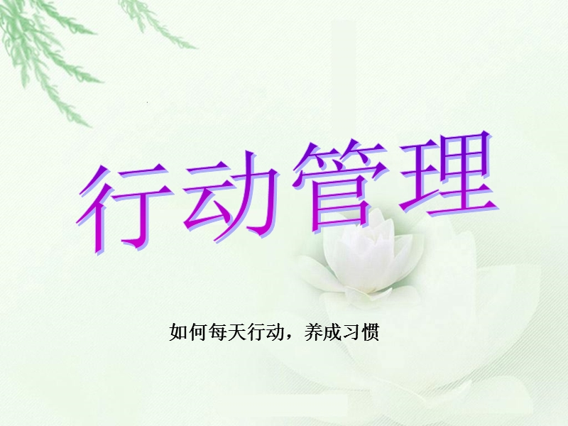 行动管理.ppt_第1页