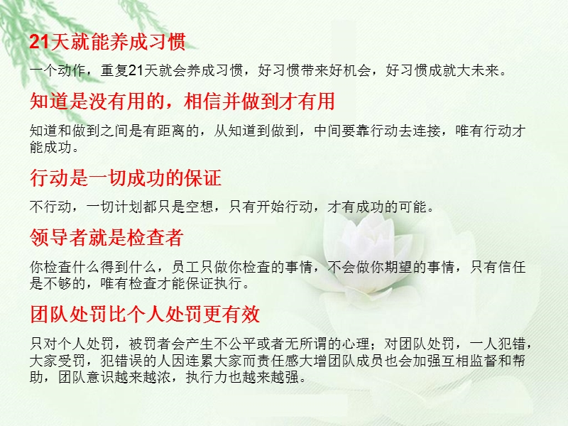 行动管理.ppt_第2页