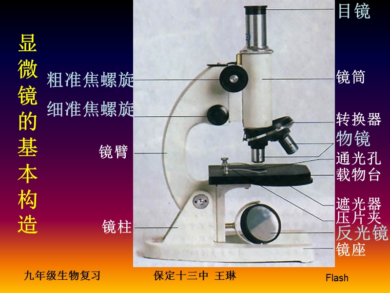 【初一理化生】12显微镜.ppt_第2页