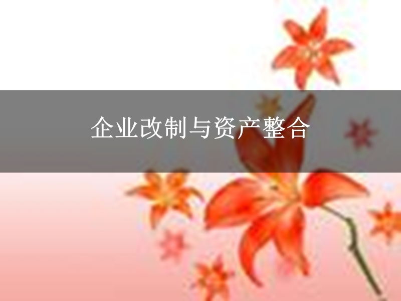 企业改制与资产整合.ppt_第1页