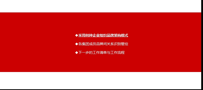 某集团品牌架构关系管控方案.ppt_第3页