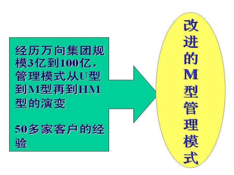 集团化管理和改进.ppt_第2页