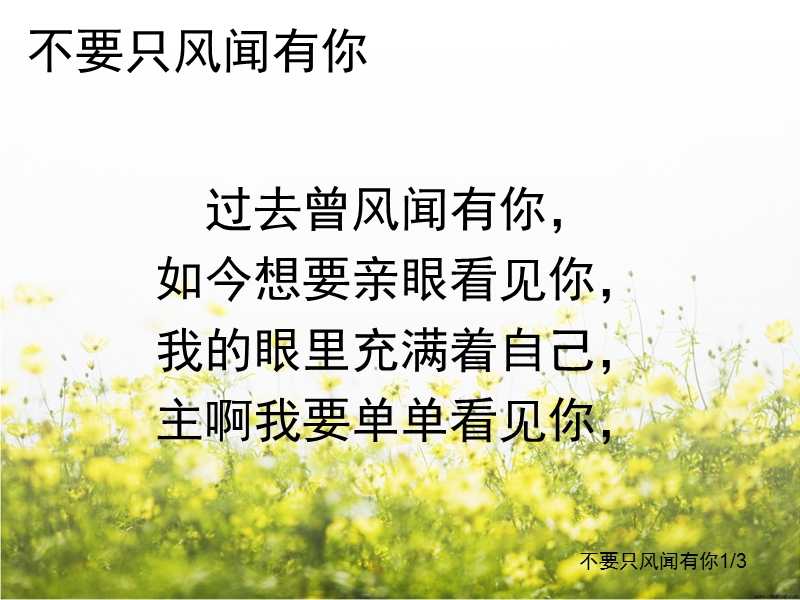 不要只风闻有你.ppt_第1页