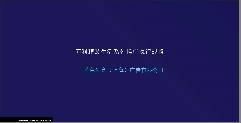 某公司精装生活系列推广执行战略.ppt_第1页