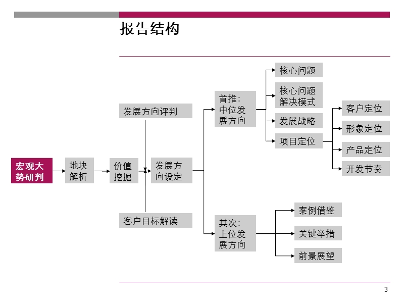 大连某项目发展战略研究报告 .ppt_第3页