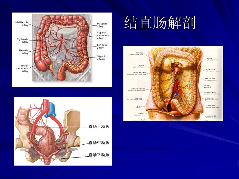 山大-结肠直肠癌.ppt_第2页