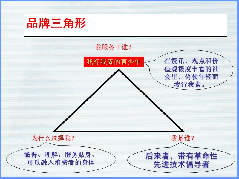 青少年品牌建设(ppt20).ppt_第3页