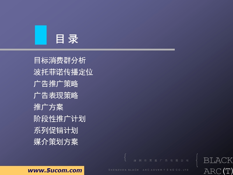 某品牌的整合传播战略.ppt_第2页