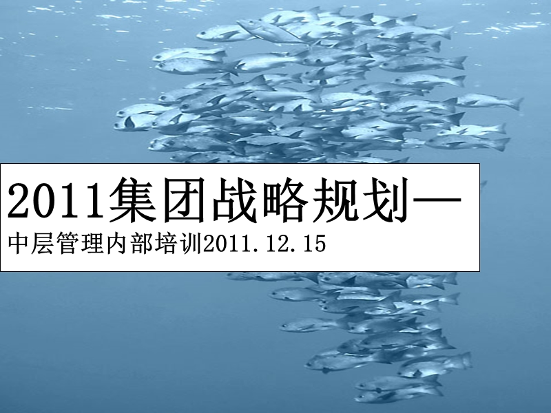 某集团2011战略规划培训.ppt_第1页